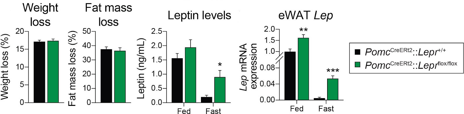 POMC neurons expressing leptin receptors coordinate metabolic responses to fasting via suppression of leptin levels