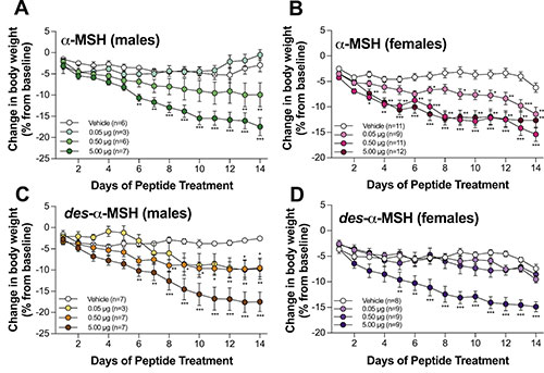 Desacetyl-α-melanocyte stimulating hormone and α-melanocyte stimulating hormone are required to regulate energy balance