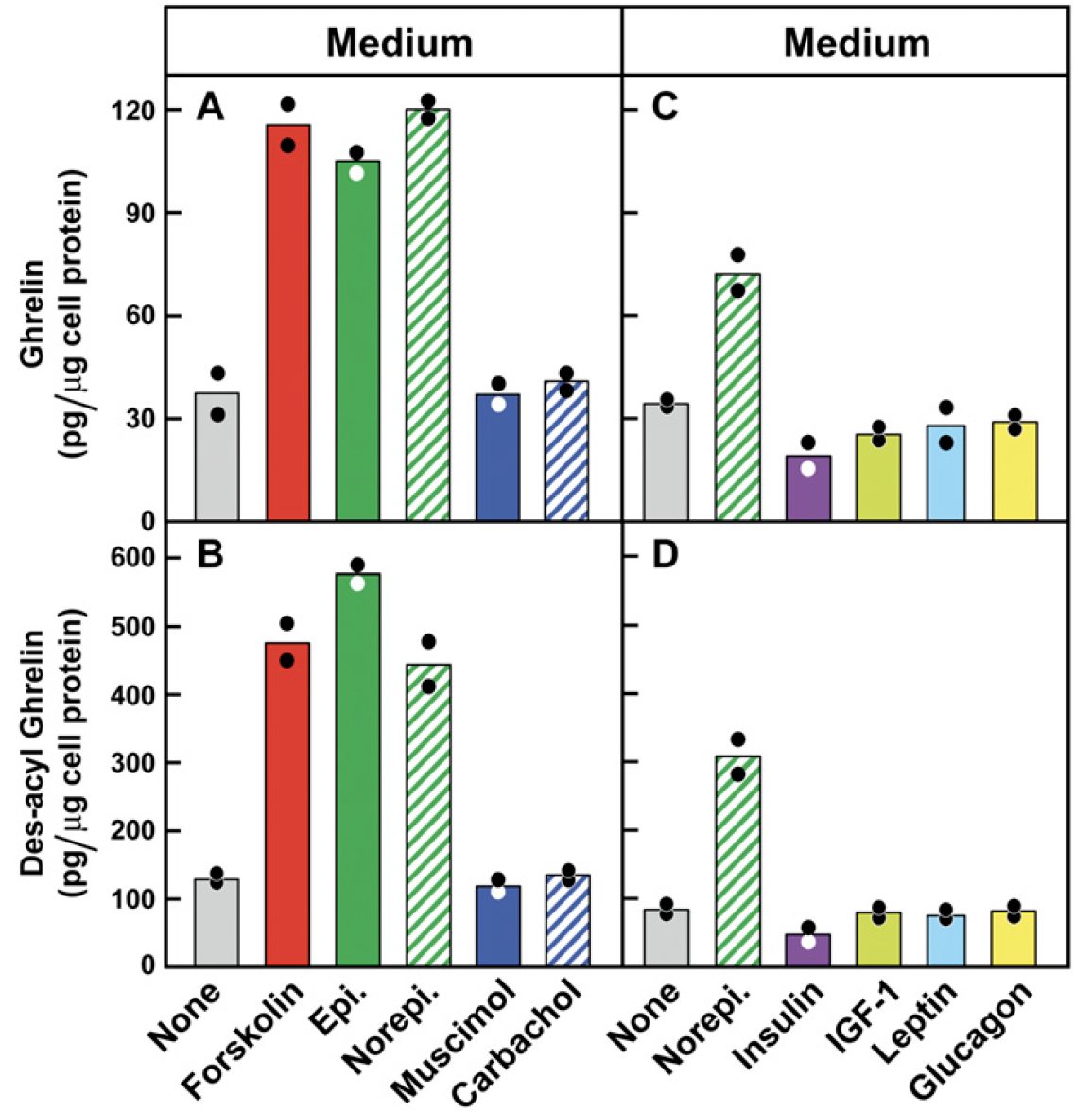 Ghrelin secretion stimulated by {beta}1-adrenergic receptors in cultured ghrelinoma cells and in fasted mice