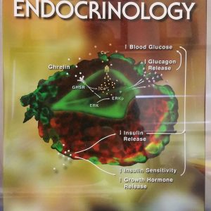 Jay_s-article-makes-the-cover-of-Molecular-Endocrinology